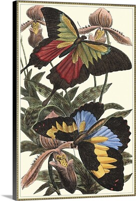 #ad Butterfly III Canvas Wall Art Print Butterfly Home Decor $379.99