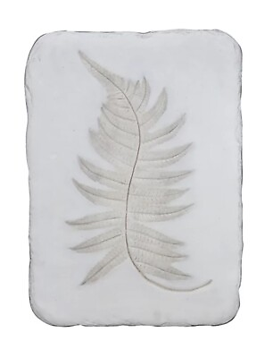 #ad Bee amp; Willow Home Wild Fern 1 Botanical 11” X 16 Inch Wall Plaque White Art Leaf $24.99