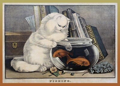 9709.Decoration Poster.Home room interior wall.White cat fishing goldfish.Pets $60.00