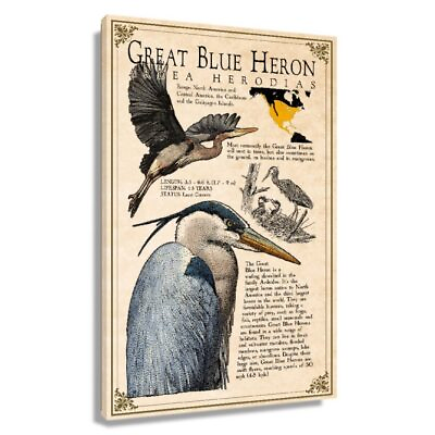 #ad Great Blue Heron Wall Art Framed Canvas Animals Decor Living Room Educational $68.96