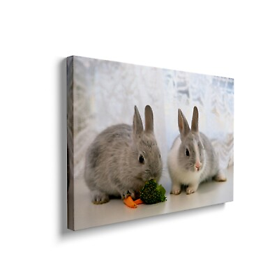 #ad Wall Art Painting with Your Photos for Pet Animal for Wall for Home Décor $59.99