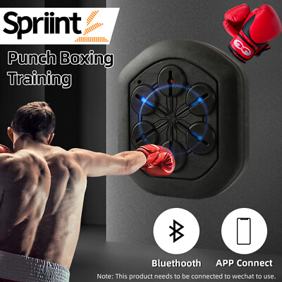 Spriint Boxing Training Wall Target Music Smart Boxing WallMount Fight Equipment AU $238.90