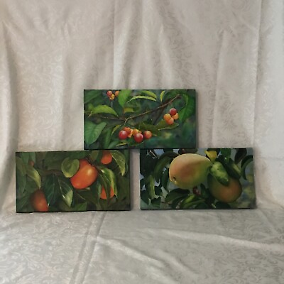 #ad Fruit Leaves Branches 3 Pc Set Kitchen Canvas Wall Artwork 15 x 8 x 1 Panels NWO $23.98