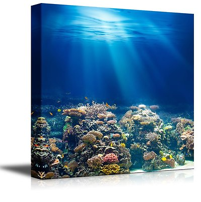 #ad wall26 Coral Reef Under the Ocean Modern Home Decor Canvas Prints 24quot; x 24quot; $38.49