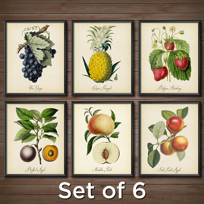 #ad BOTANICAL Vintage FRUIT Prints SET of 6 Kitchen Decor Wall Art Poster 2426 $28.95
