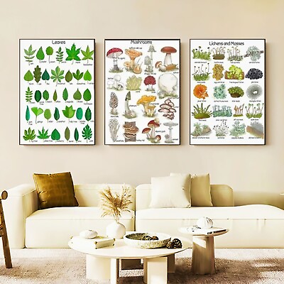 #ad #ad Vegetables Mushrooms Kitchen Wall Art Canvas Herbs Tree Species Lichens Picture $12.99