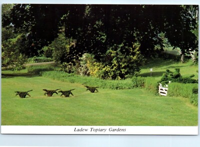#ad Postcard Topiary hunt scene Ladew Topiary Gardens Monkton Maryland $8.39