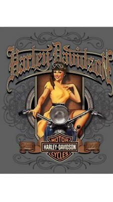 #ad TIN SIGN quot;Harley Davidson Babe” Motorcycle Garage Cycle Rustic Decor Cycle $7.35