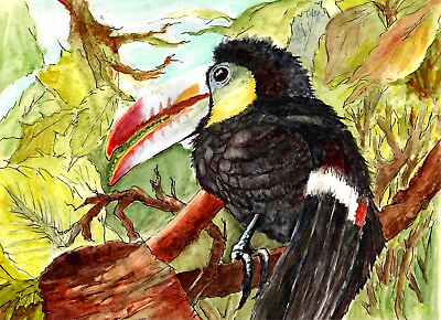 #ad #ad Toucan In Jungle Toucan ArtJungle Art Print Bird Art Print Country Art Print $35.00