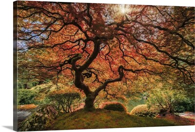 #ad #ad The Tree Horizontal Canvas Wall Art Print Home Decor $49.99