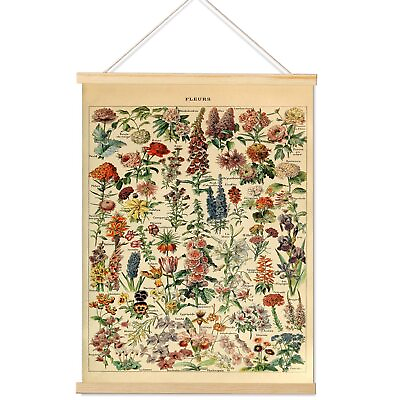 #ad Vintage Flowers Poster Prints Cottagecore Plant Floral Reference Chart Canva... $17.21